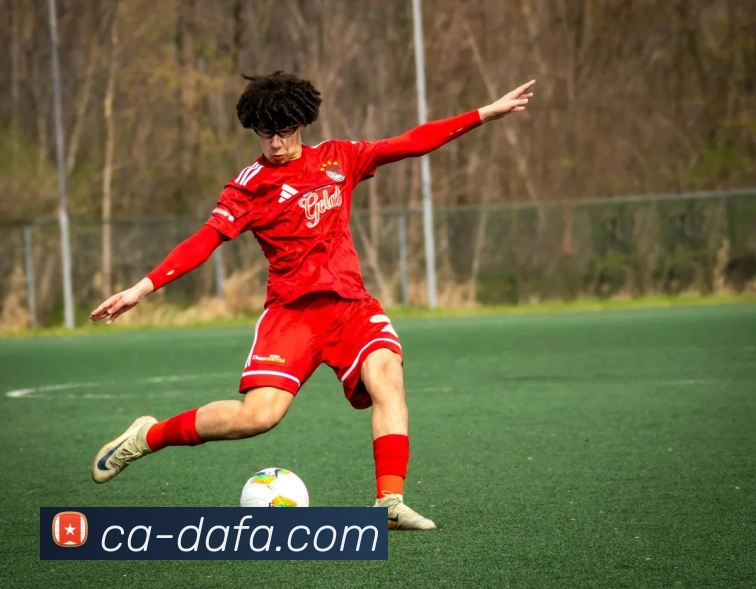 大发彩票发展历程